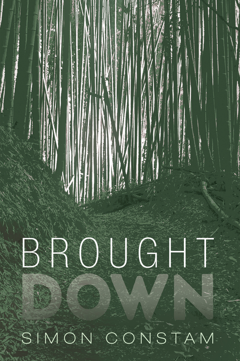 Brought Down - Simon Constam