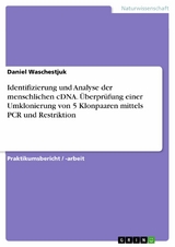 Identifizierung und Analyse der menschlichen cDNA. &Uuml;berpr&uuml;fung einer Umklonierung von 5 Klonpaaren mittels PCR und Restriktion - Daniel Waschestjuk
