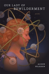 Our Lady of Bewilderment -  Alison Pelegrin