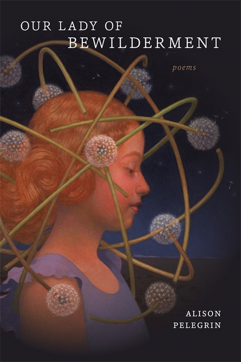 Our Lady of Bewilderment -  Alison Pelegrin
