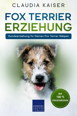 Fox Terrier Erziehung