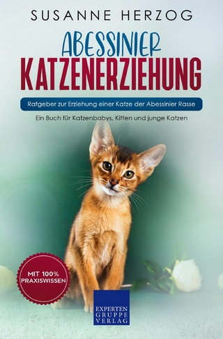 Abessinier Katzenerziehung - Ratgeber zur Erziehung einer Katze der Abessinier Rasse