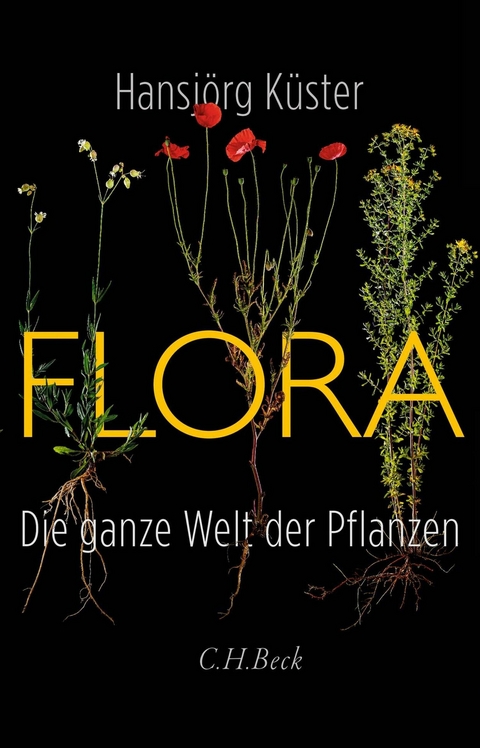 Flora -  Hansjörg Küster
