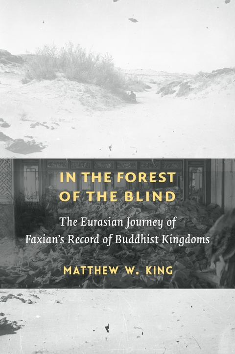 In the Forest of the Blind - Matthew W. King