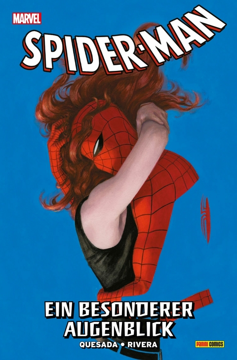 SPIDER-MAN - Ein Besonderer Augenblick -  Joe Quesada