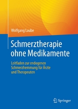 Schmerztherapie ohne Medikamente -  Wolfgang Laube
