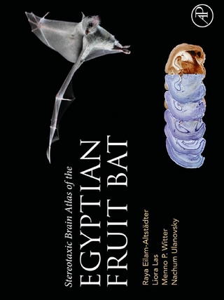 Stereotaxic Brain Atlas of the Egyptian Fruit Bat