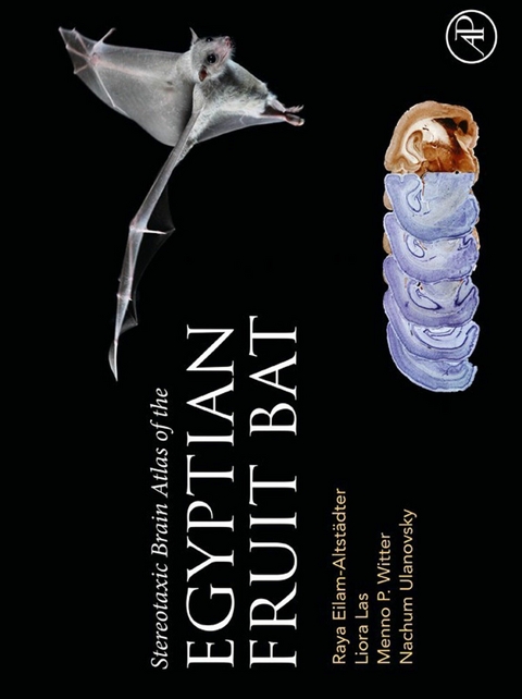 Stereotaxic Brain Atlas of the Egyptian Fruit Bat -  Raya Eilam-Altstadter,  Liora Las,  Nachum Ulanovsky,  Menno Witter