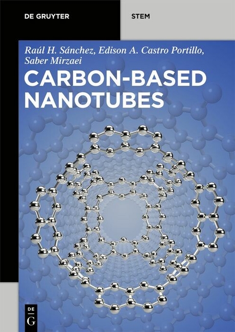 Carbon-Based Nanotubes - Ra&uacute;l Hern&aacute;ndez S&aacute;nchez, Saber Mirzaei, Edison Arley Castro Portillo