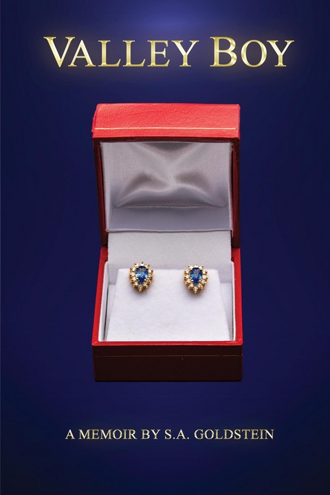 Valley Boy - Stanley Goldstein