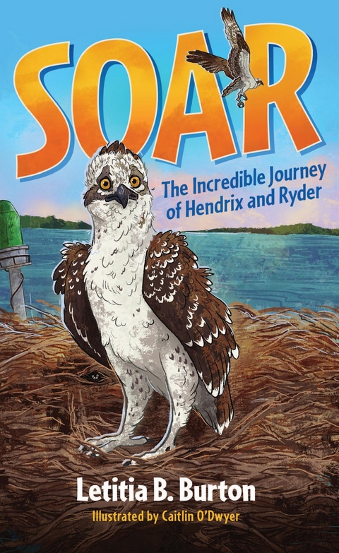 Soar -  Letitia B. Burton