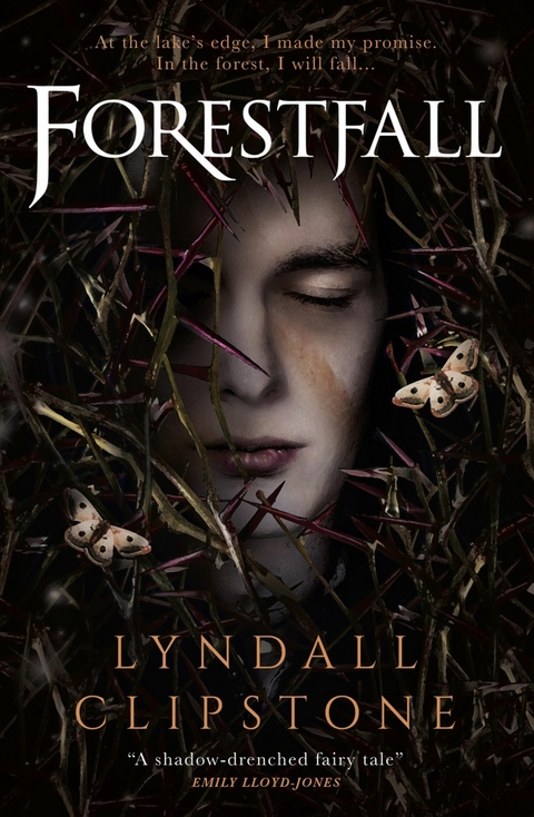 Forestfall -  Lyndall Clipstone
