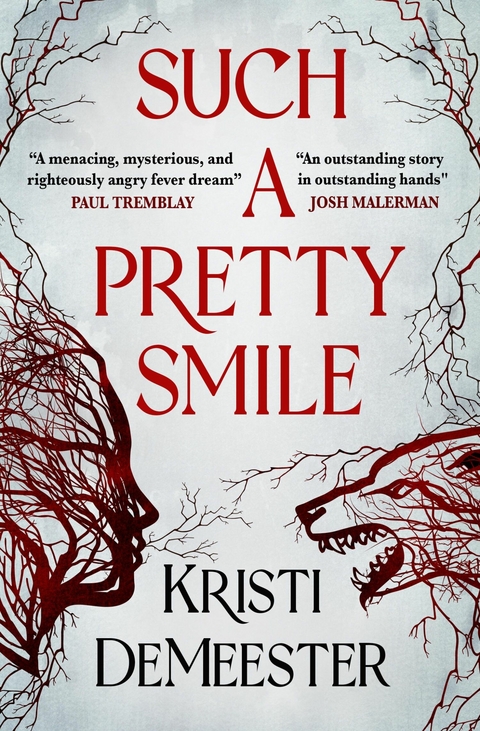 Such a Pretty Smile -  Kristi DeMeester