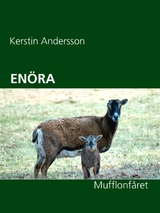 EN&Ouml;RA - Kerstin Andersson