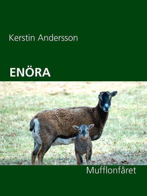 EN&Ouml;RA - Kerstin Andersson