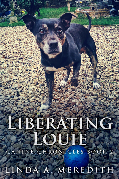 Liberating Louie - Linda a. Meredith
