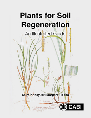 Plants for Soil Regeneration