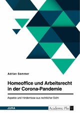 Homeoffice und Arbeitsrecht in der Corona-Pandemie. Aspekte und Hindernisse aus rechtlicher Sicht -  Adrian Sommer