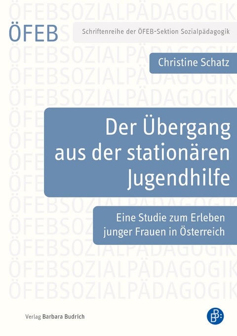 Der &Uuml;bergang aus der station&auml;ren Jugendhilfe - Christine Schatz