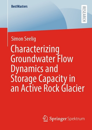 Characterizing Groundwater Flow Dynamics and Storage Capacity in an Active Rock Glacier