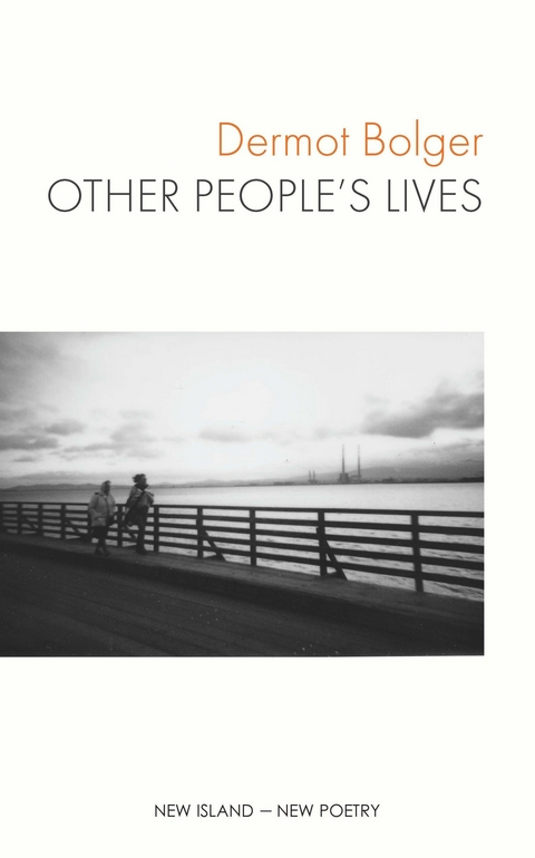 Other People's Lives -  DERMOT BOLGER