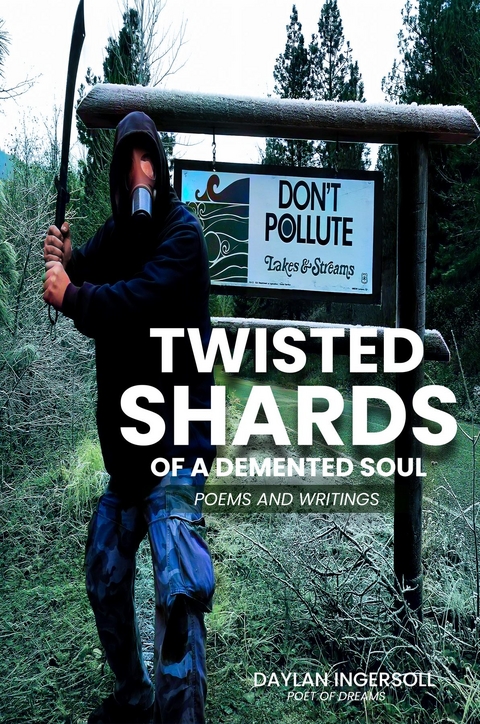 Twisted Shards Of A Demented Soul -  Daylan Ingersoll