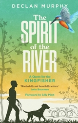 The Spirit of the River - Declan Murphy