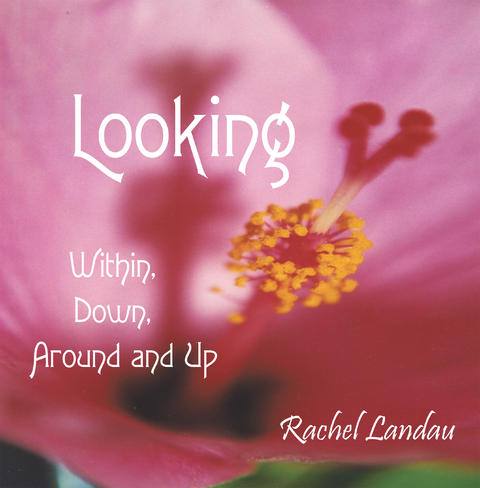 Looking - Rachel Landau