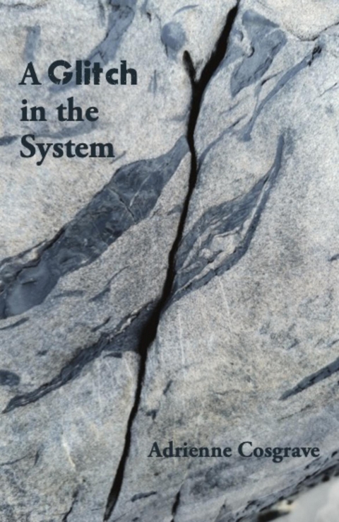 A Glitch in the System - Adrienne Cosgrave