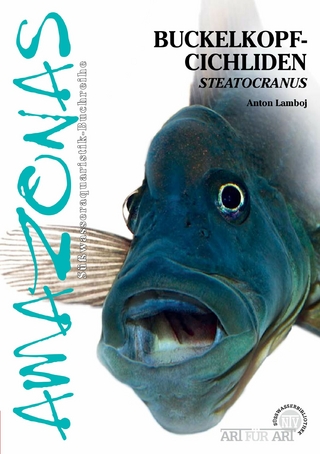 Buckelkopfcichliden