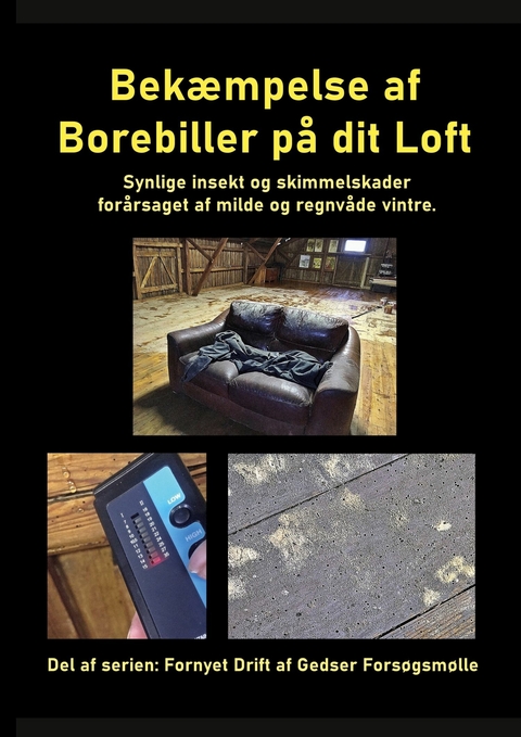 Bek&aelig;mpelse af Borebiller p&aring; dit Loft -  Gitte Ahrenkiel