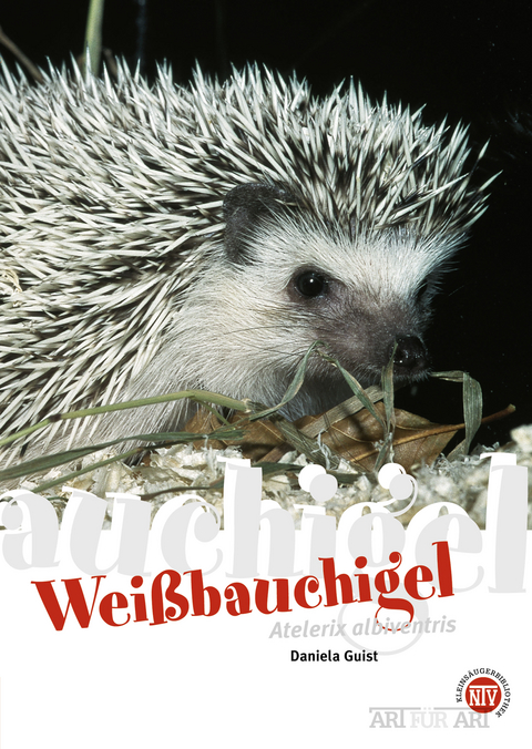 Wei&szlig;bauchigel - Daniela Guist