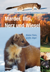 Marder, Iltis, Nerz und Wiesel - Paul Marchesi, Claude Mermod, Hans C. Salzmann