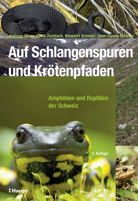 Auf Schlangenspuren und Kr&ouml;tenpfaden - Andreas Meyer, Silvia Zumbach, Benedikt R. Schmidt, Jean-Claude Monney