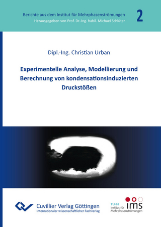 Experimentelle Analyse, Modellierung und Berechnung von kondensationsinduzierten Druckstößen