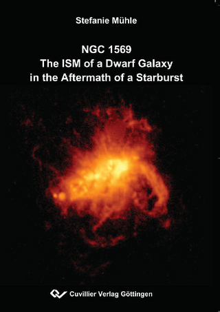 NGC 1569 - The ISM of a Dwarf Galaxy in the Aftermath of a Starburst