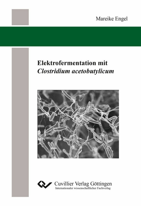 Elektrofermentation mit Clostridium acetobutylicum -  Mareike Engel