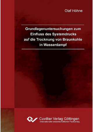 Grundlagenuntersuchungen zum Einfluss des Systemdrucks auf die Trocknung von Braunkohle in Wasserdampf