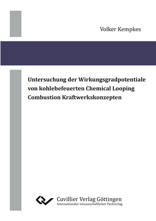 Untersuchung der Wirkungsgradpotentiale von kohlebefeuerten Chemical Looping Combustion Kraftwerkskonzepten