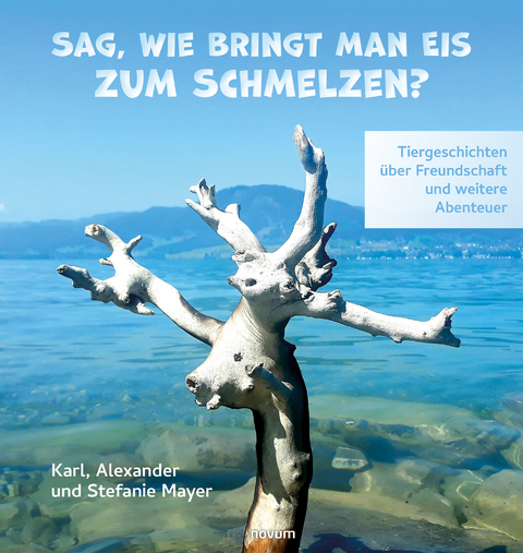 Sag, wie bringt man Eis zum Schmelzen? - Karl Mayer, Alexander Mayer, Stefanie Mayer