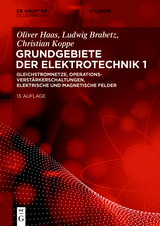 Gleichstromnetze, Operationsverst&auml;rkerschaltungen, elektrische und magnetische Felder - Ludwig Brabetz, Christian Koppe, Oliver Haas