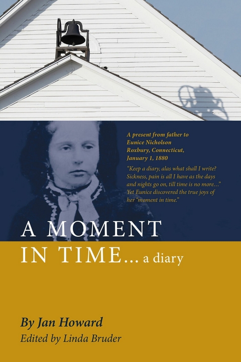 MOMENT IN TIME...a diary -  Jan Howard