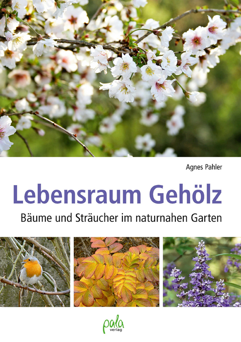 Lebensraum Geh&ouml;lz - Agnes Pahler