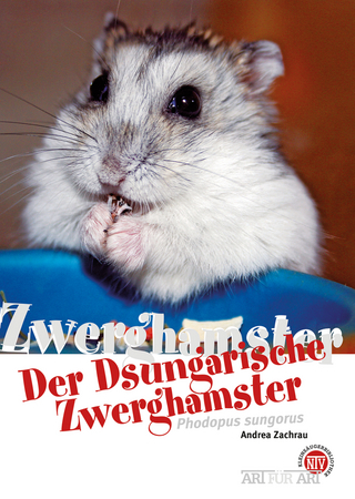Der Dsungarische Zwerghamster