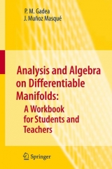 Analysis and Algebra on Differentiable Manifolds - P.M. Gadea, J.Munoz Masque