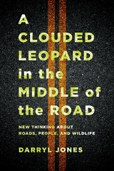 Clouded Leopard in the Middle of the Road -  Darryl Jones