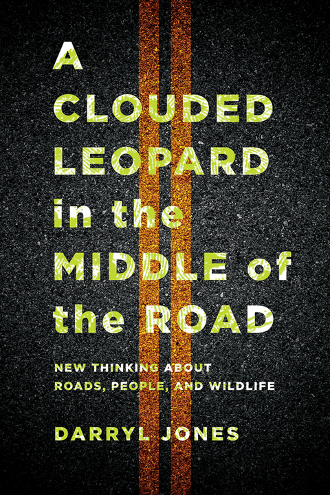 Clouded Leopard in the Middle of the Road -  Darryl Jones
