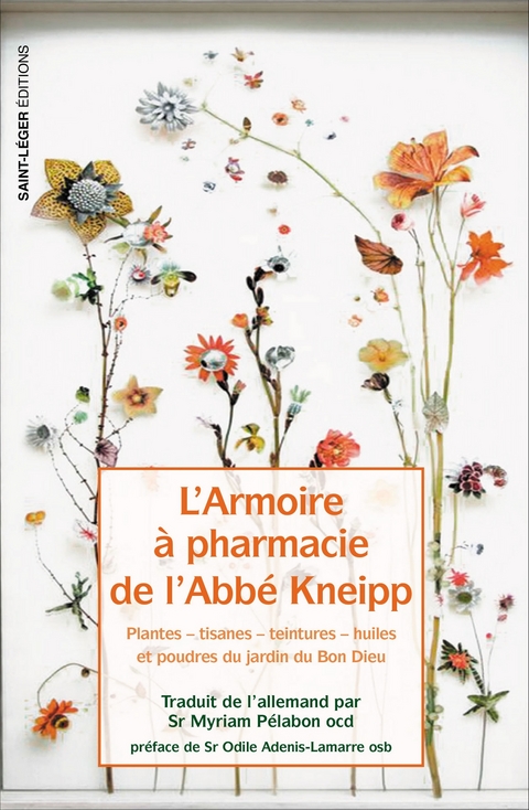 L'armoire &agrave; pharmacie de l'Abb&eacute; Kneipp - S&eacute;bastian Kneipp