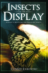 Insects on Display -  Connie Zakowski