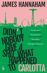 Didn't Nobody Give a Shit What Happened to Carlotta - James Hannaham